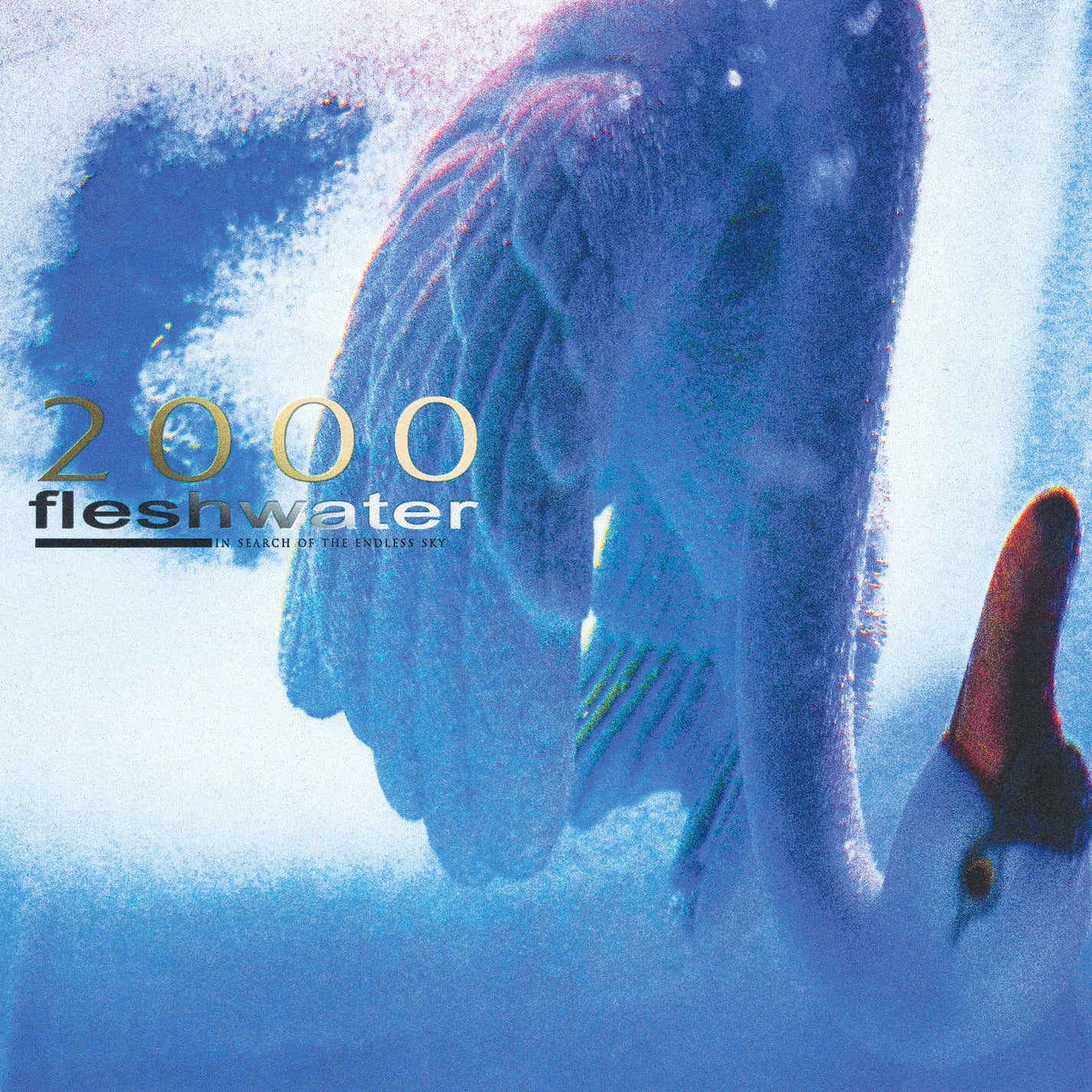 FLESHWATER &quot;2000: In Search Of The Endless Sky&quot; LP