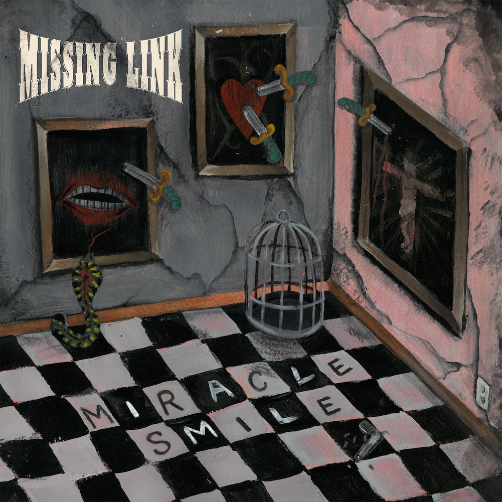 MISSING LINK &quot;Miracle Smile&quot; 12&quot;